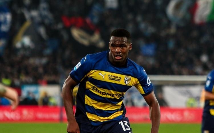 质的培养 质的培养